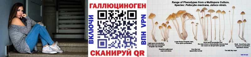 Псилоцибиновые грибы Psilocybe Боготол