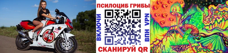 Псилоцибиновые грибы Magic Shrooms  Боготол 